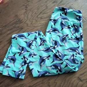 lularoe is leggings whales